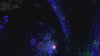 SL-43 - 3 Pack - Blue Galaxy | Green Laser Christmas Light with Bluetooth Speaker - 2nd GEN v2