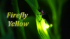 SL-55 Summer Firefly Laser Light / Blue LED with Bluetooth Speaker
